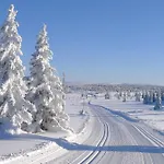 Modern Sports On With Sauna And Waxing Dom wakacyjny Sjusjøen