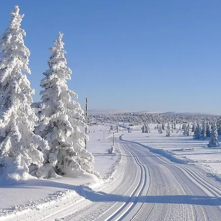 Brand New Sports At Feriehus Sjusjøen