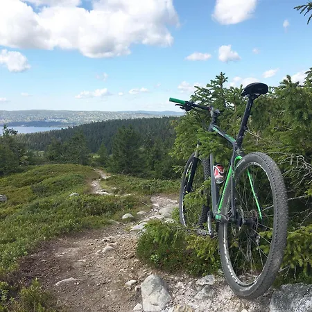 Brand New Sports At * Sjusjøen