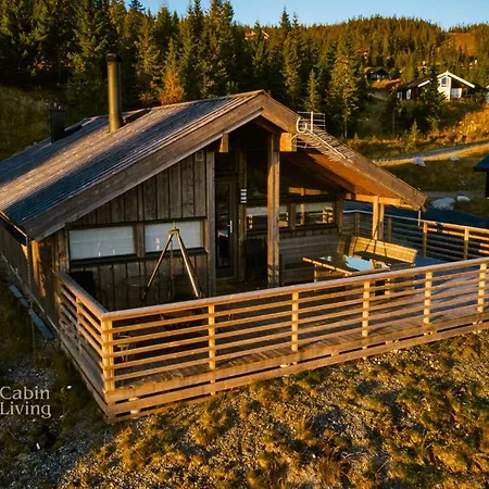 Modern Sports On With Sauna And Waxing