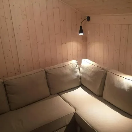 Modern Sports On With Sauna And Waxing * Sjusjøen